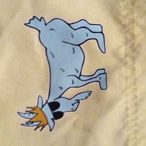 G.O.A.T. SHORTS/🏊 SWIM TRUNKS